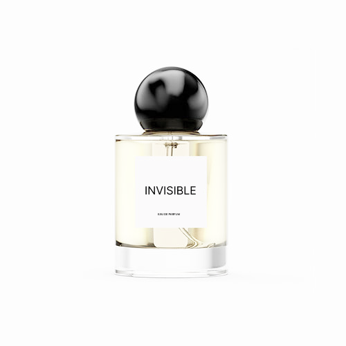 Парфюмированная вода OG PARFUMS  INVISIBLE, 50мл К279 фото